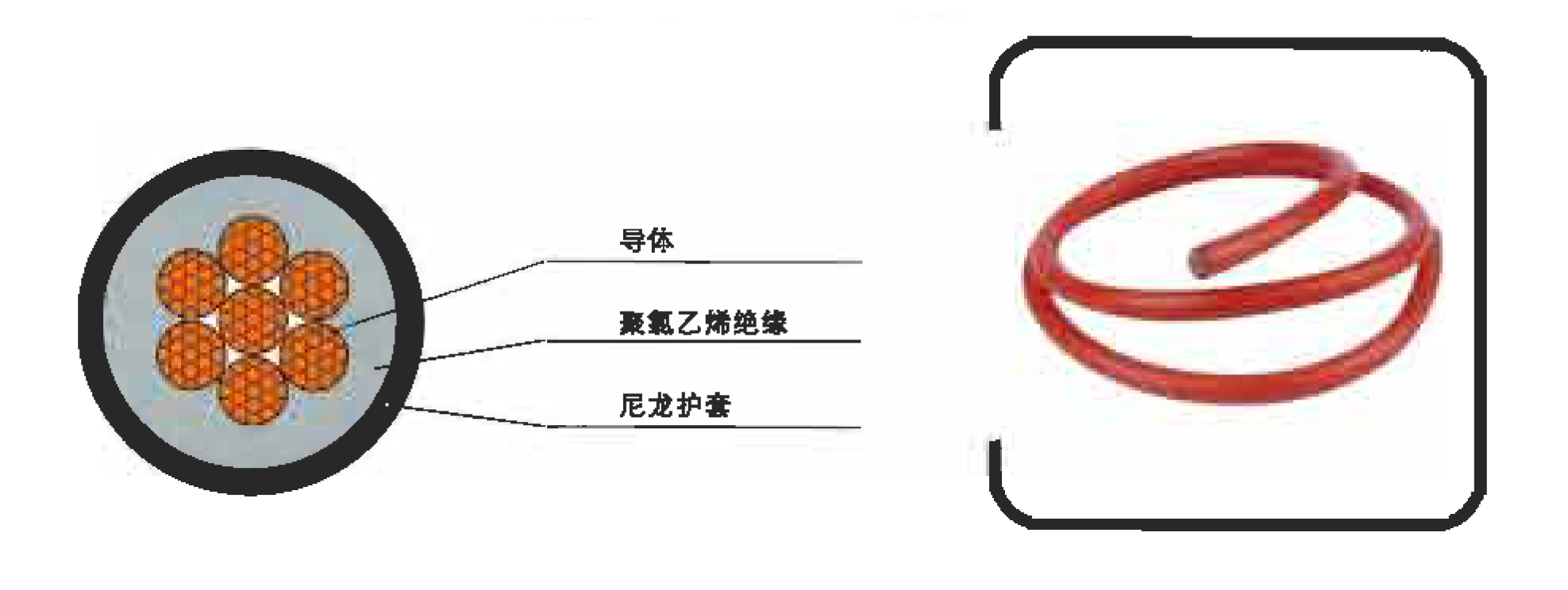 聚氯乙烯絕緣尼龍護套電纜